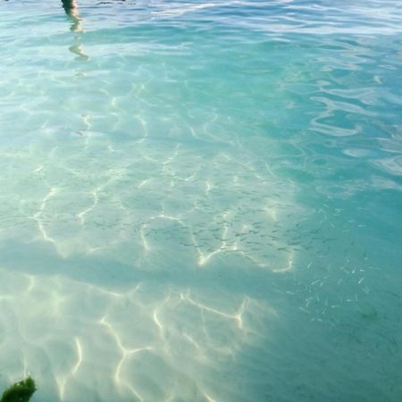 Hotel Hidden Island Glamping Isla Mujeres Exterior foto