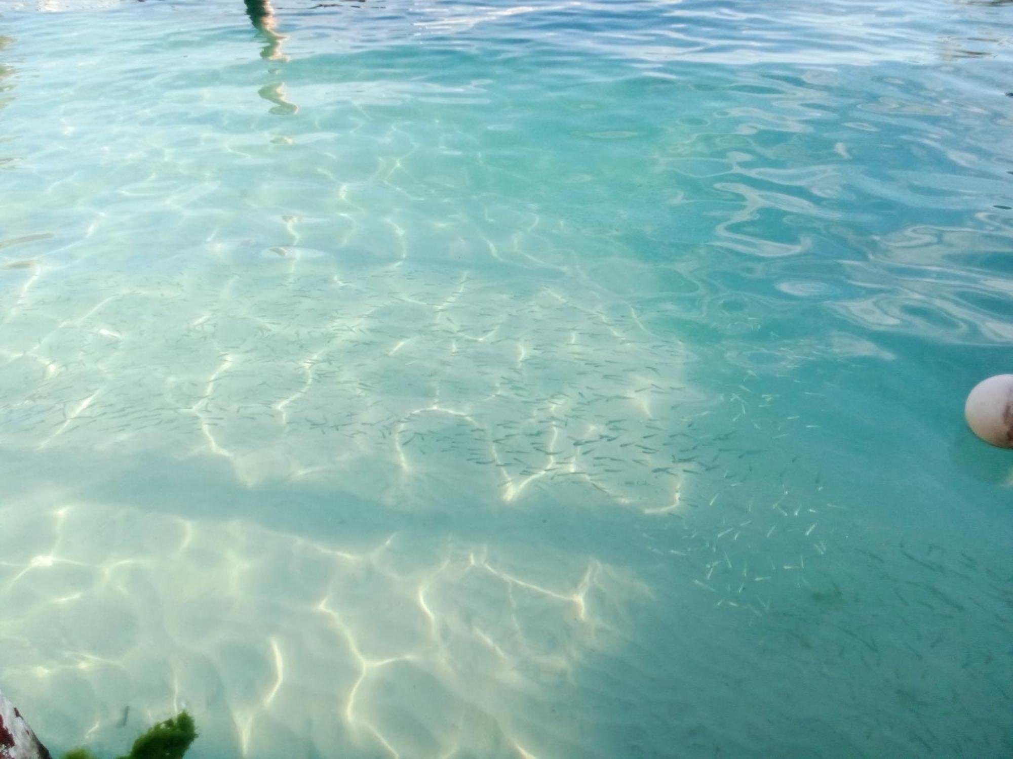Hotel Hidden Island Glamping Isla Mujeres Exterior foto
